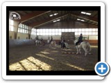 Reiten auf Ponys in der Gruppe